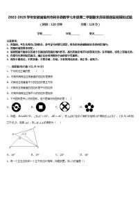 2022-2023学年安徽省亳州市利辛县数学七年级第二学期期末质量跟踪监视模拟试题含答案