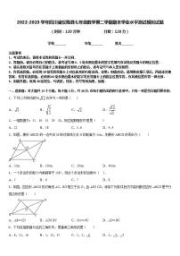 2022-2023学年四川省仪陇县七年级数学第二学期期末学业水平测试模拟试题含答案