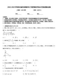 2022-2023学年四川省乐至县联考七下数学期末学业水平测试模拟试题含答案