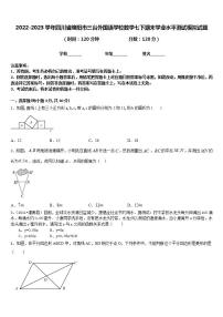 2022-2023学年四川省绵阳市三台外国语学校数学七下期末学业水平测试模拟试题含答案