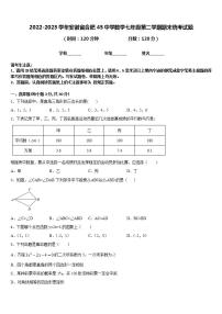 2022-2023学年安徽省合肥45中学数学七年级第二学期期末统考试题含答案