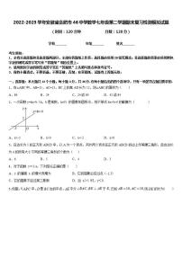 2022-2023学年安徽省合肥市46中学数学七年级第二学期期末复习检测模拟试题含答案