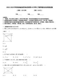 2022-2023学年安徽省合肥市包河区第48中学七下数学期末达标检测试题含答案