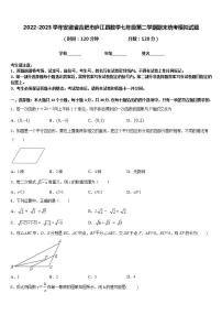 2022-2023学年安徽省合肥市庐江县数学七年级第二学期期末统考模拟试题含答案