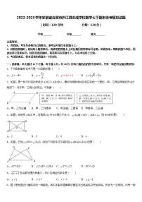 2022-2023学年安徽省合肥市庐江县志成学校数学七下期末统考模拟试题含答案