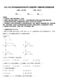 2022-2023学年安徽省合肥市庐阳中学七年级数学第二学期期末复习检测模拟试题含答案