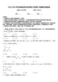 2022-2023学年安徽省合肥市名校数学七年级第二学期期末经典试题含答案