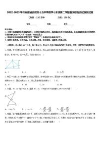 2022-2023学年安徽省合肥四十五中学数学七年级第二学期期末综合测试模拟试题含答案