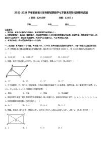 2022-2023学年安徽省六安市舒城县数学七下期末质量检测模拟试题含答案