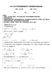 2022-2023学年安徽省养鹿中学七下数学期末综合测试试题含答案