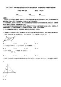 2022-2023学年安徽无为尚文学校七年级数学第二学期期末质量跟踪监视试题含答案