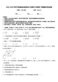 2022-2023学年宁夏回族自治区银川六中数学七年级第二学期期末考试试题含答案