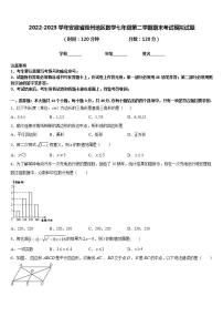 2022-2023学年安徽省滁州地区数学七年级第二学期期末考试模拟试题含答案