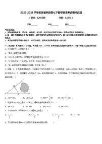 2022-2023学年安徽省枞阳县七下数学期末考试模拟试题含答案