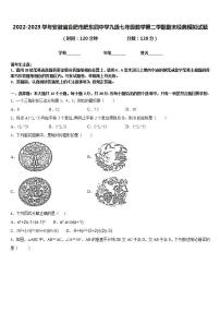 2022-2023学年安徽省合肥市肥东四中学九级七年级数学第二学期期末经典模拟试题含答案