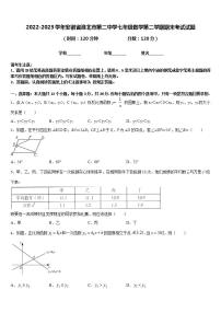 2022-2023学年安徽省淮北市第二中学七年级数学第二学期期末考试试题含答案