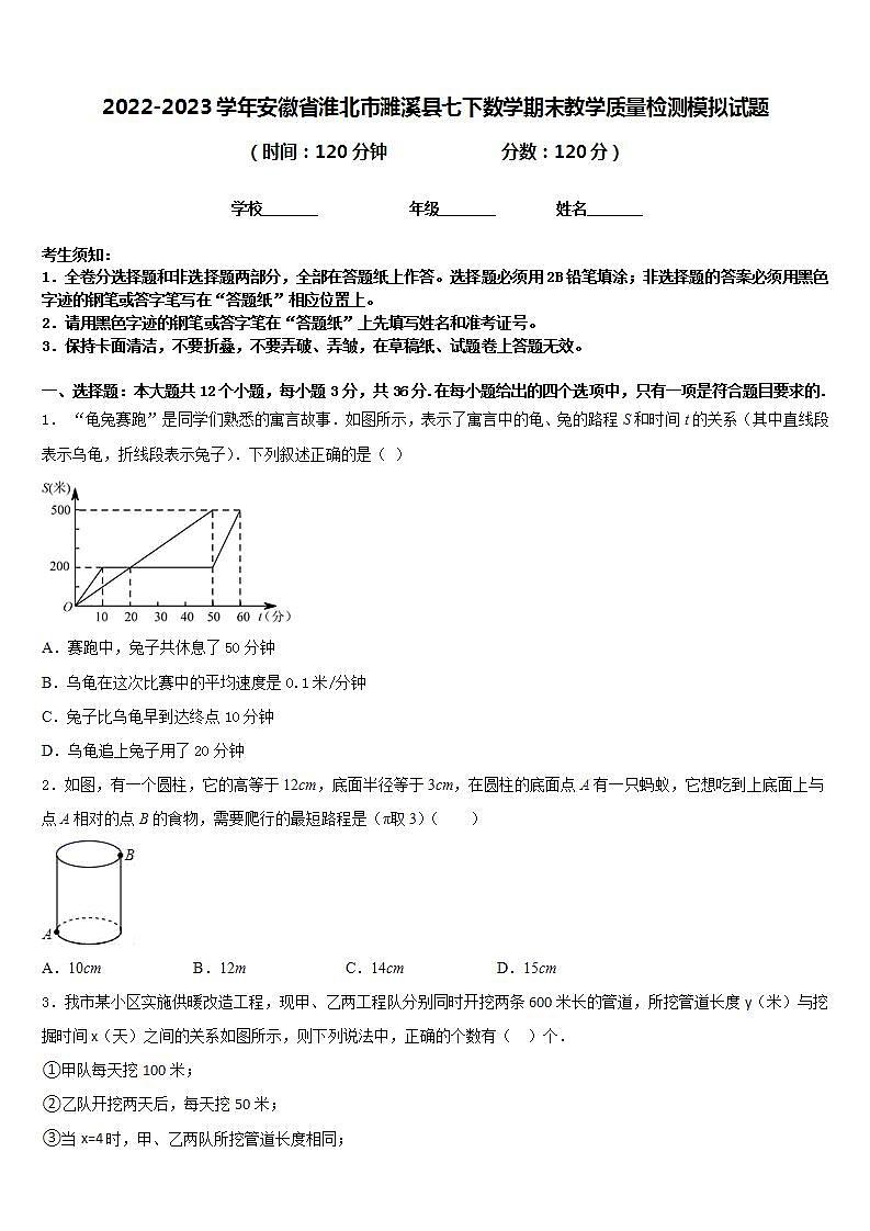 2022-2023学年安徽省淮北市濉溪县七下数学期末教学质量检测模拟试题含答案01