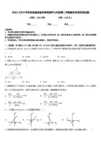 2022-2023学年安徽省淮南市寿县数学七年级第二学期期末质量检测试题含答案