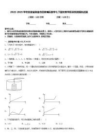 2022-2023学年安徽省淮南市田家庵区数学七下期末教学质量检测模拟试题含答案