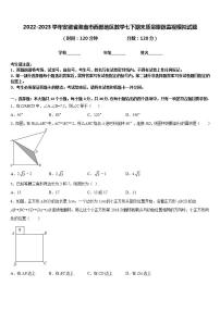 2022-2023学年安徽省淮南市西部地区数学七下期末质量跟踪监视模拟试题含答案