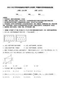 2022-2023学年安徽省明光市数学七年级第二学期期末质量跟踪监视试题含答案