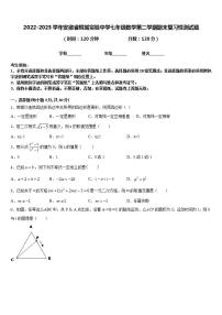 2022-2023学年安徽省桐城实验中学七年级数学第二学期期末复习检测试题含答案