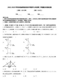 2022-2023学年安徽省桐城实验中学数学七年级第二学期期末经典试题含答案