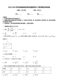 2022-2023学年安徽省宣城市宣州区雁翅学校七下数学期末统考试题含答案