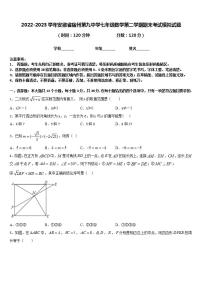 2022-2023学年安徽省宿州第九中学七年级数学第二学期期末考试模拟试题含答案