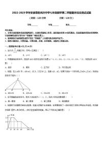 2022-2023学年安徽阜阳鸿升中学七年级数学第二学期期末综合测试试题含答案