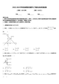 2022-2023学年安徽阜阳市数学七下期末达标检测试题含答案