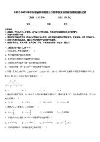 2022-2023学年安徽省蚌埠局属七下数学期末质量跟踪监视模拟试题含答案