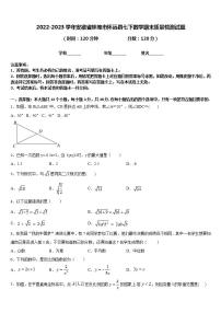 2022-2023学年安徽省蚌埠市怀远县七下数学期末质量检测试题含答案