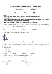 2022-2023学年安徽省阜阳地区数学七下期末检测试题含答案