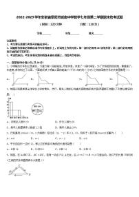 2022-2023学年安徽省阜阳市城南中学数学七年级第二学期期末统考试题含答案