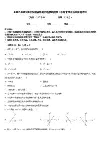 2022-2023学年安徽省阜阳市临泉县数学七下期末学业质量监测试题含答案