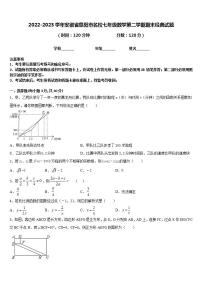 2022-2023学年安徽省阜阳市名校七年级数学第二学期期末经典试题含答案