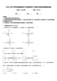 2022-2023学年安徽省阜阳市十校联考数学七下期末学业质量监测模拟试题含答案