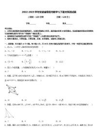 2022-2023学年安徽省阜阳市数学七下期末预测试题含答案