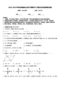 2022-2023学年安徽省黄山市休宁县数学七下期末达标检测模拟试题含答案