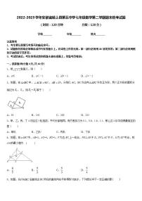 2022-2023学年安徽省颍上县第五中学七年级数学第二学期期末统考试题含答案