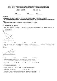 2022-2023学年安徽芜湖无为县联考数学七下期末达标检测模拟试题含答案