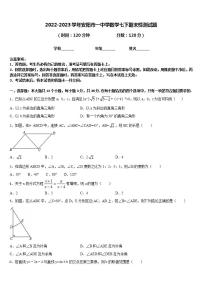 2022-2023学年安阳市一中学数学七下期末检测试题含答案