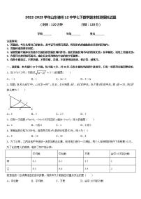 2022-2023学年山东德州12中学七下数学期末检测模拟试题含答案