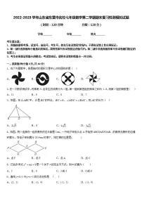 2022-2023学年山东省东营市名校七年级数学第二学期期末复习检测模拟试题含答案