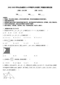 2022-2023学年山东威海市14中学数学七年级第二学期期末调研试题含答案