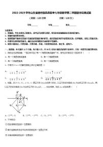 2022-2023学年山东省德州临邑县联考七年级数学第二学期期末经典试题含答案