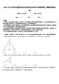 2022-2023学年山东省德州市经济开发区抬头寺中学七年级数学第二学期期末调研试题含答案