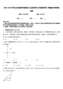 2022-2023学年山东省德州市陵城区江山实验学校七年级数学第二学期期末统考模拟试题含答案