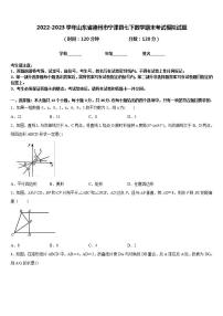 2022-2023学年山东省德州市宁津县七下数学期末考试模拟试题含答案